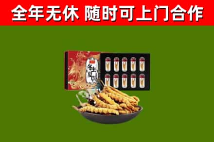 抚远回收冬虫夏草价格